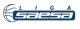 Giải bóng rổ SAESA Chile