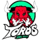 Toros del Valle
