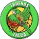 Sấm sét Talca