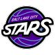 Salt Lake City starlight