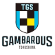 Tokushima Gambarous