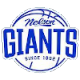 Nelson Giants