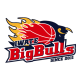 Iwate Big Bulls