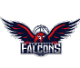 Đội bóng nữ Newcastle Falcons