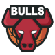 Chicago Bulls