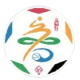 Shandong Qilu Football Super League