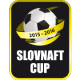 Cúp Slovakia