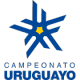 Giải vô địch quốc gia Uruguay