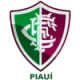Fluminense Pi U20