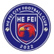 合肥体校U13