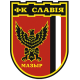 Câu lạc bộ Bóng đá Slavia Mozyr