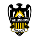 Wellington Phoenix 2