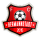 FC Hermannstadt