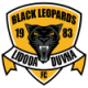 Black Leopards