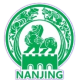 Nanjing Team