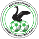 AFC Western Springs