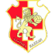 Naxxar Lions