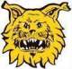 Ilves Nữ