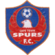 Cape Town Spurs