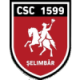 Viitorul Selimbar